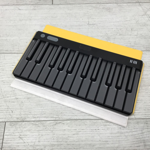 Vist Large View of Product Image Which is Used Roli Piano M Compact Controller With Case