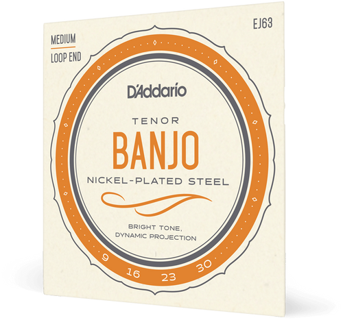Vist Large View of Product Image Which is New D'Addario EJ63 09-30 Medium, 4-String, Tenor Banjo Strings, Nickel