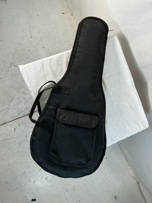 Vist Large View of Product Image Which is Used MANDOLIN BAG Guitar Gig Bag