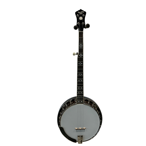 Vist Large View of Product Image Which is Used Recording King RK-R20 Banjo