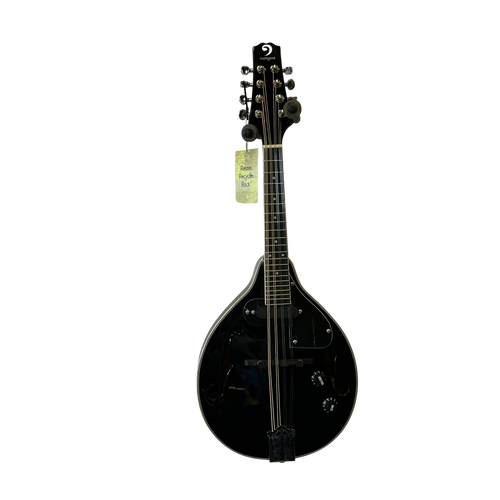 Used VANGOA MANDOLIN W/GIG BAG Mandolin 40009-S000310185 Vist Large View of Product Image Which is Used VANGOA MANDOLIN W/GIG BAG Mandolin
