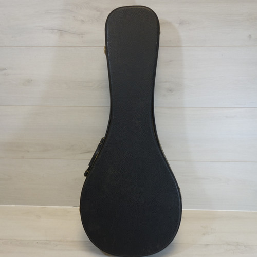 Vist Large View of Product Image Which is Used MANDOLIN CASE Guitar Case