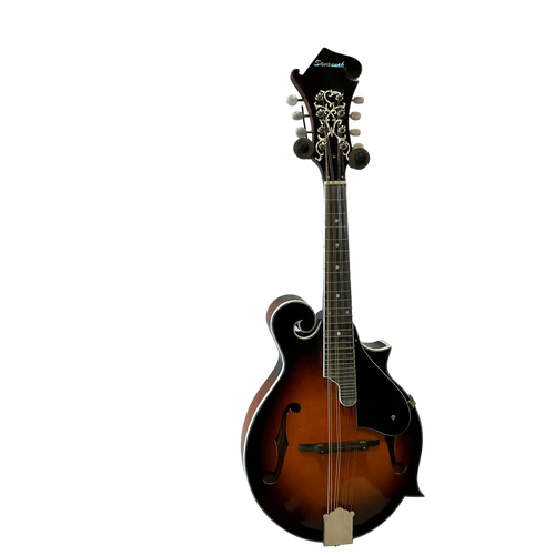 Vist Large View of Product Image Which is Used Savannah SF-100 Mandolin