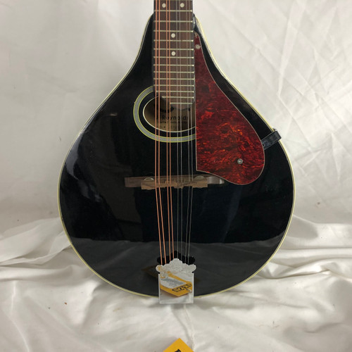 Vist Large View of Product Image Which is Used J Reynolds JRMAN30 Mandolin
