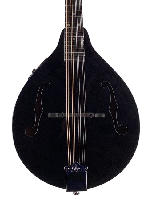 Vist Large View of Product Image Which is Used Dean MANDOLIN A/E TENNESSEE