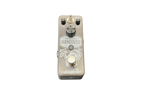 Vist Large View of Product Image Which is Used LANDLORD FX BANGING HANGOVER Reverb Pedal