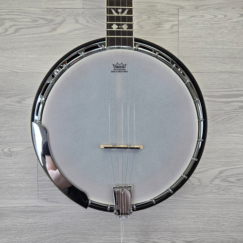 Vist Large View of Product Image Which is Used Recording King RK-R20 5-String Banjo
