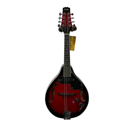 Vist Large View of Product Image Which is Used MULUCKY MANDO ELECTRIC Mandolin