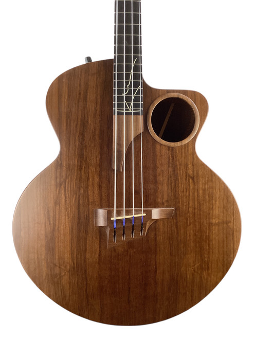 Vist Large View of Product Image Which is Used Taylor AB-2 ACOUSTIC BASS W/BAG -BACK REPAIR