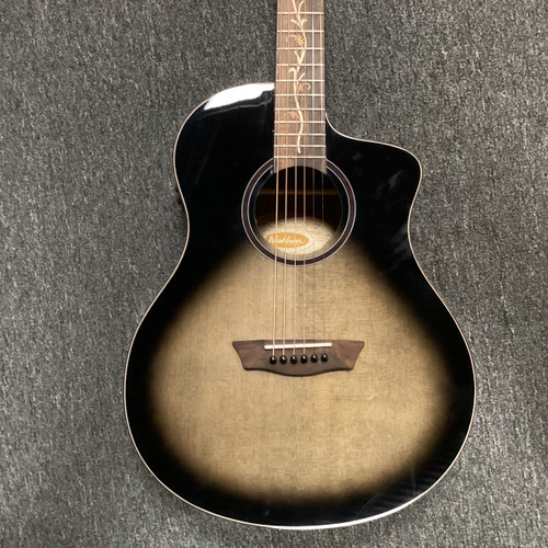 Vist Large View of Product Image Which is Used Washburn BTS9 VINE Solid Top Acoustic Guitar Other