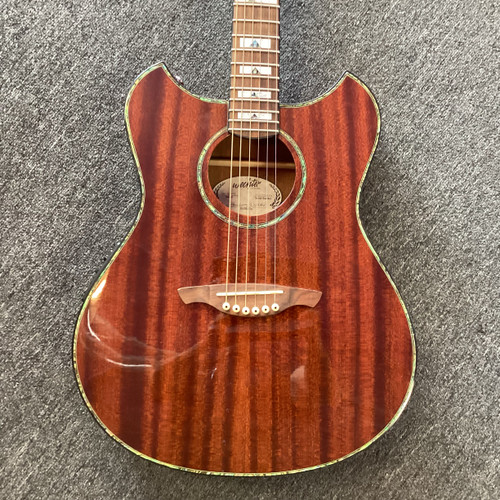 Vist Large View of Product Image Which is Used Wechter PM-3140TE Laminate Top Acoustic Guitar Other