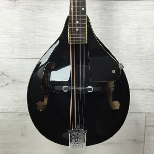 Vist Large View of Product Image Which is Used Rogue RM-101A Mandolin
