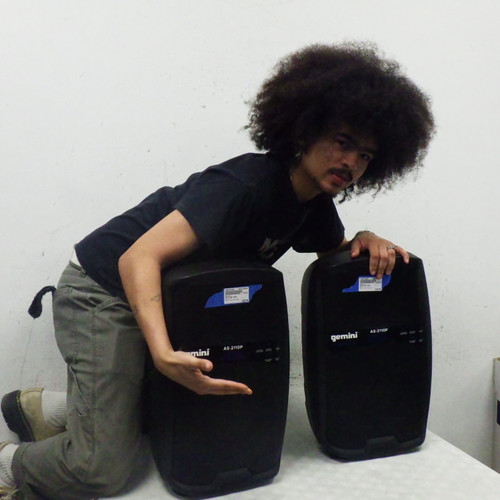 Vist Large View of Product Image Which is Used Gemini AS-2110P PAIR Passive Full Range Speaker Cabinet