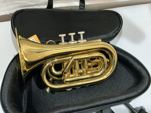 Vist Large View of Product Image Which is Used Carol CAROLBRASS CPT 3000YLS Trumpet
