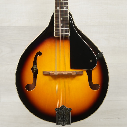 Vist Large View of Product Image Which is Used Rogue RM-100A Mandolin