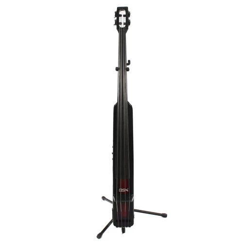 Vist Large View of Product Image Which is Used BSX T BASS Other Band Instrument