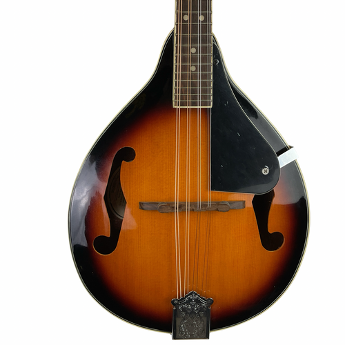 Vist Large View of Product Image Which is Used Fender FM-100 Mandolin