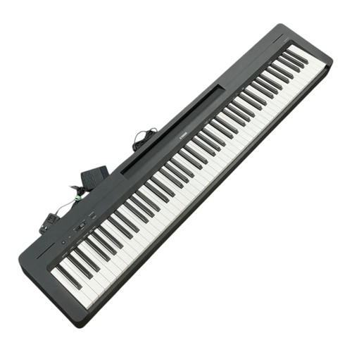 Vist Large View of Product Image Which is Used Yamaha P-143 88-Key Keyboard