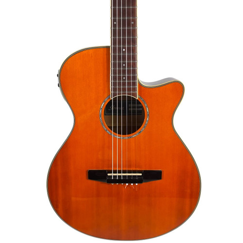 Vist Large View of Product Image Which is Used Ibanez AEG10NII-TNG Nylon-String Acoustic-Electric Guitar