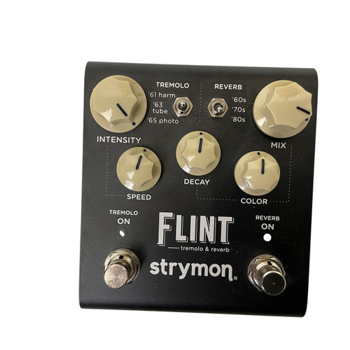 Vist Large View of Product Image Which is Used Strymon FLINT Reverb Pedal