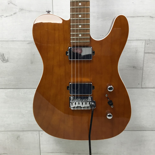 Vist Large View of Product Image Which is Used Schecter Van Nuys PT T Type Electric Guitar Wood