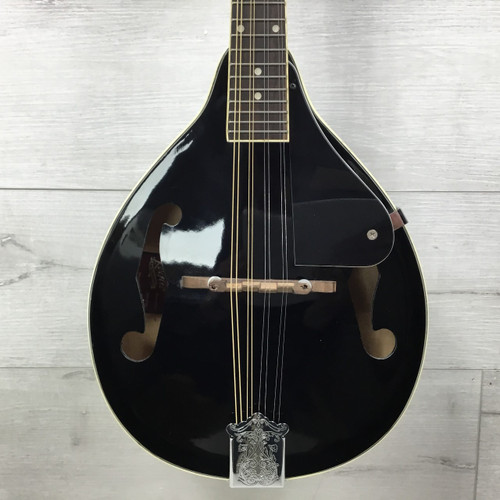 Vist Large View of Product Image Which is Used Rogue RM-101A Mandolin