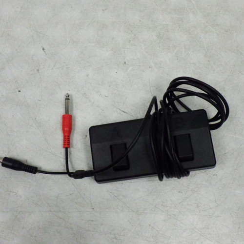 Vist Large View of Product Image Which is Used Roland acs Live Footswitch Guitar Accessory