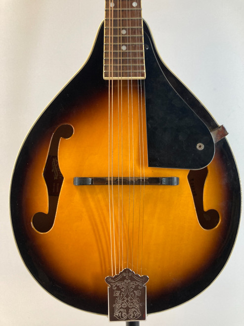Vist Large View of Product Image Which is Used Rogue RM-100A Mandolin