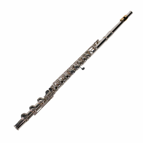 Vist Large View of Product Image Which is Used Gemeinhardt KG SPECIAL Solid Silver Flute
