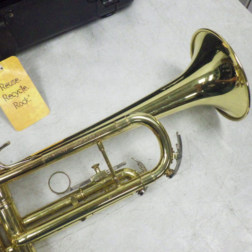 Vist Large View of Product Image Which is Used King  Trumpet