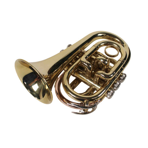 Vist Large View of Product Image Which is Used PT-101 Other Brass Instrument