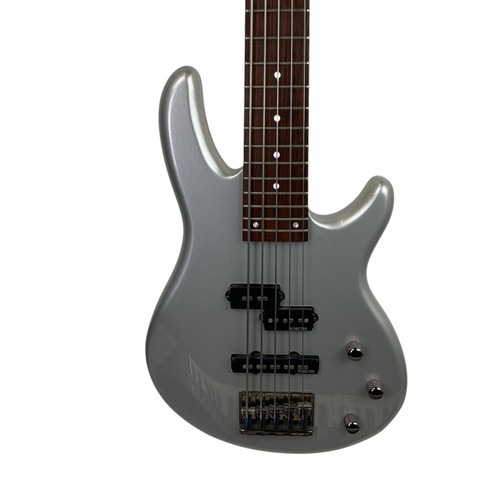 Vist Large View of Product Image Which is Used Schecter RAIDEN DELUXE 5 STRING Modern Metal Bass Guitar Silver/Gray 5-String