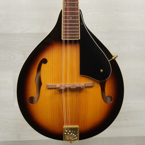 Vist Large View of Product Image Which is Used Mitchell AM100VS Mandolin