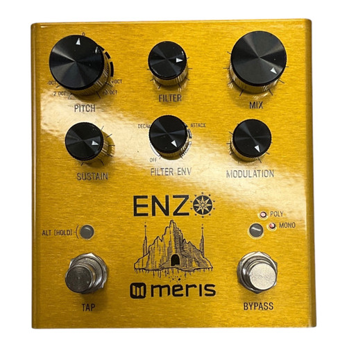 Vist Large View of Product Image Which is Used Meris Enzo Synthesizer Pedal