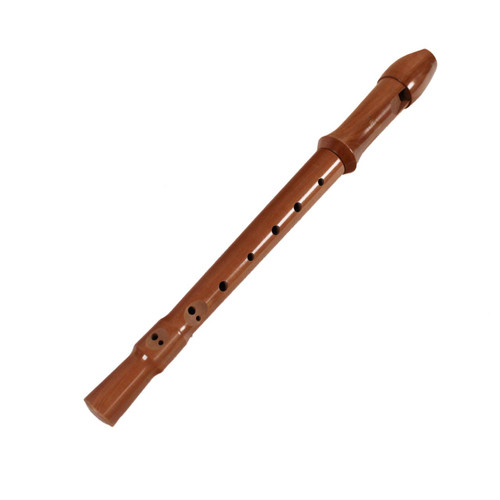Vist Large View of Product Image Which is Used RECORDER Other Band Instrument