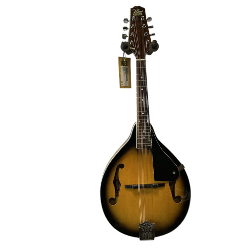 Vist Large View of Product Image Which is Used Rogue RM100A W/HSC Mandolin