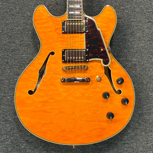 Vist Large View of Product Image Which is Used D'Angelico EXCEL DC XT Semi-Hollow Electric Guitar Other 6-String