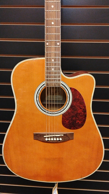 Vist Large View of Product Image Which is Used Esteban ALC-200 Solid Top Acoustic Guitar Amber