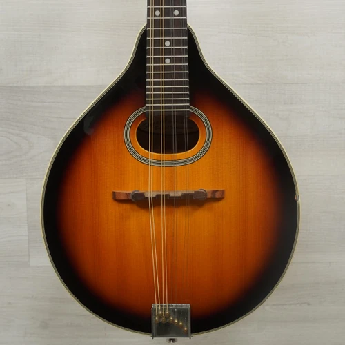 Vist Large View of Product Image Which is Used Savannah SA-110 Mandolin