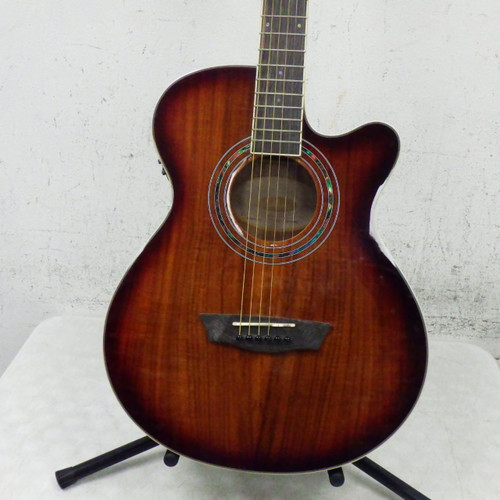 Vist Large View of Product Image Which is Used Washburn EA55G-A-U  Acoustic Guitar Wood