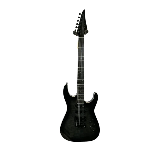 Vist Large View of Product Image Which is Used FESLEY DELUXE EDITION S Type Electric Guitar Black 6-String