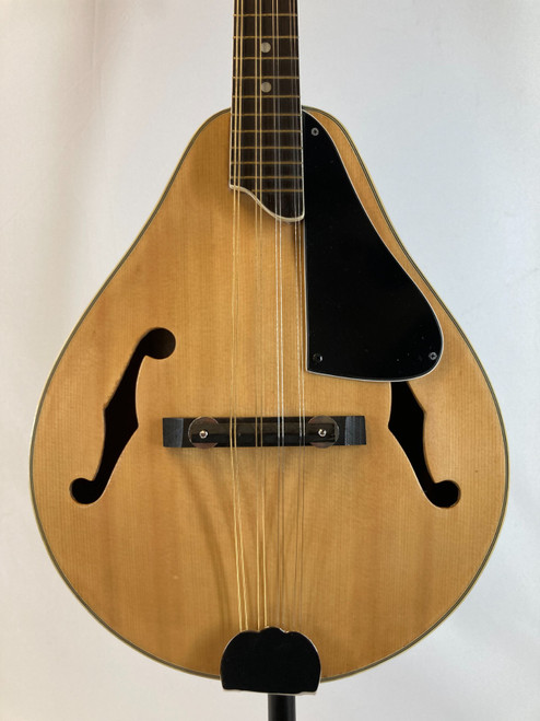Vist Large View of Product Image Which is Used Bentley A-Style Mandolin