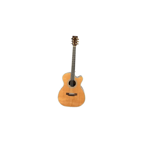 Vist Large View of Product Image Which is Used Zager ZAD-800MCE/N Solid Top Acoustic Guitar Wood