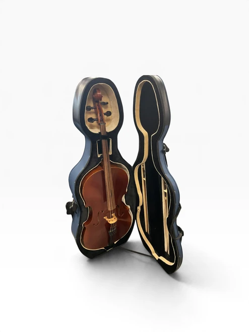 Vist Large View of Product Image Which is Used WILHELM EBERLE CELLO 4/4 Cello 4/4 Size