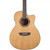 Guitars Acoustic Guitars View 1