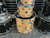 Used DW COLLECTORS SERIES 4-PIECE MAPLE Drum Kits Natural 40012-S000259351 View 17