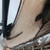 Used Vito BARITONE SAXOPHONE MEXICO Baritone Saxophone 40081-S000108601 View 8