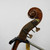 Used Karl Hofner 1959 1/2 Size Upright Bass  40042-S000244837 View 8