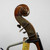 Used Karl Hofner 1959 1/2 Size Upright Bass  40042-S000244837 View 4