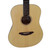 Used Breedlove PASSPORT D200/SMP Acoustic Guitar Wood 40009-S000298084 View 2
